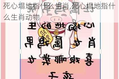 死心塌地指什么生肖,死心塌地指什么生肖动物