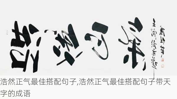 浩然正气最佳搭配句子,浩然正气最佳搭配句子带天字的成语