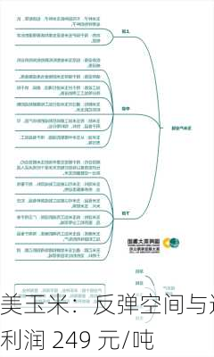 美玉米：反弹空间与进口利润 249 元/吨