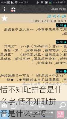 恬不知耻拼音是什么字,恬不知耻拼音是什么字呀