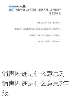 销声匿迹是什么意思7,销声匿迹是什么意思7年级