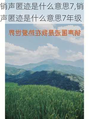 销声匿迹是什么意思7,销声匿迹是什么意思7年级