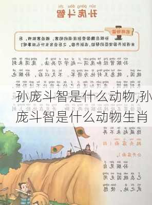 孙庞斗智是什么动物,孙庞斗智是什么动物生肖