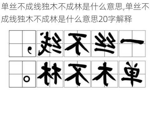 单丝不成线独木不成林是什么意思,单丝不成线独木不成林是什么意思20字解释