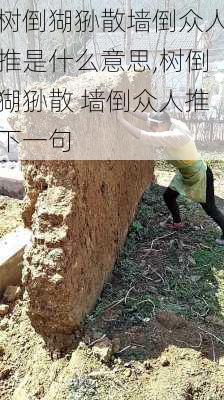 树倒猢狲散墙倒众人推是什么意思,树倒猢狲散 墙倒众人推下一句