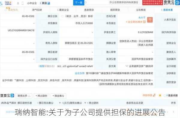 瑞纳智能:关于为子公司提供担保的进展公告