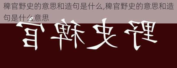 稗官野史的意思和造句是什么,稗官野史的意思和造句是什么意思