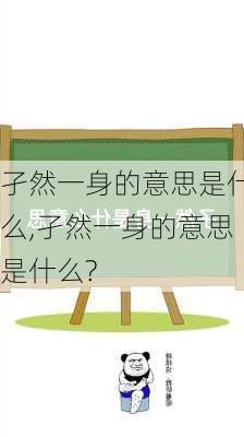 孑然一身的意思是什么,孑然一身的意思是什么?