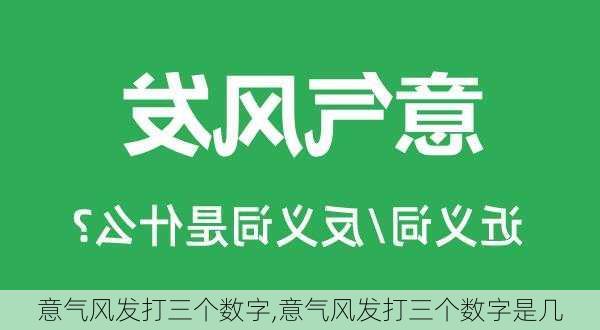 意气风发打三个数字,意气风发打三个数字是几