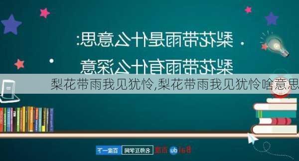 梨花带雨我见犹怜,梨花带雨我见犹怜啥意思