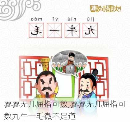 寥寥无几屈指可数,寥寥无几屈指可数九牛一毛微不足道