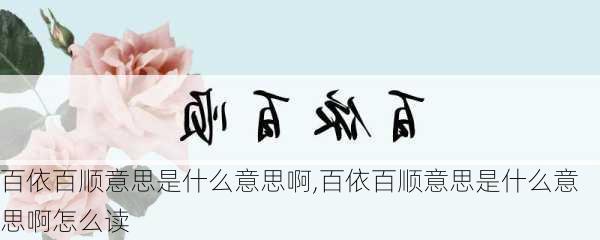 百依百顺意思是什么意思啊,百依百顺意思是什么意思啊怎么读