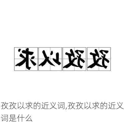 孜孜以求的近义词,孜孜以求的近义词是什么