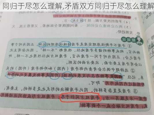 同归于尽怎么理解,矛盾双方同归于尽怎么理解