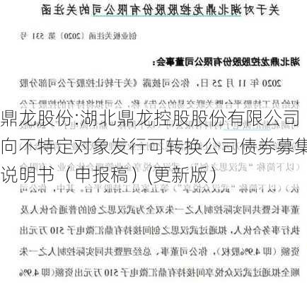 鼎龙股份:湖北鼎龙控股股份有限公司向不特定对象发行可转换公司债券募集说明书（申报稿）(更新版）