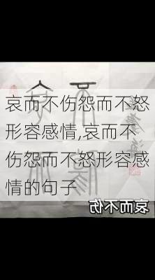 哀而不伤怨而不怒形容感情,哀而不伤怨而不怒形容感情的句子