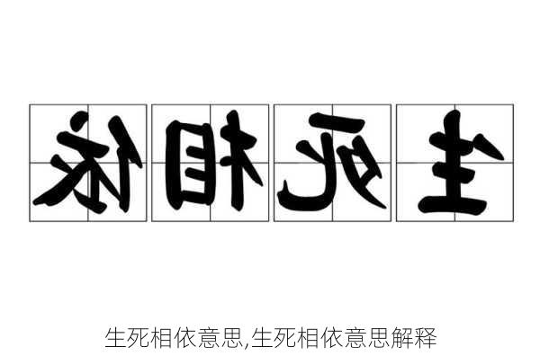 生死相依意思,生死相依意思解释