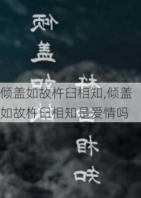 倾盖如故杵臼相知,倾盖如故杵臼相知是爱情吗