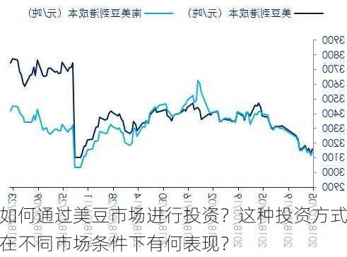 如何通过美豆市场进行投资？这种投资方式在不同市场条件下有何表现？