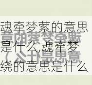 魂牵梦萦的意思是什么,魂牵梦绕的意思是什么