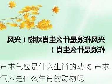 声求气应是什么生肖的动物,声求气应是什么生肖的动物呢