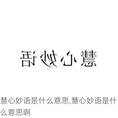 慧心妙语是什么意思,慧心妙语是什么意思啊