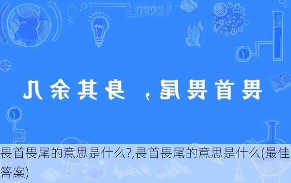 畏首畏尾的意思是什么?,畏首畏尾的意思是什么(最佳答案)