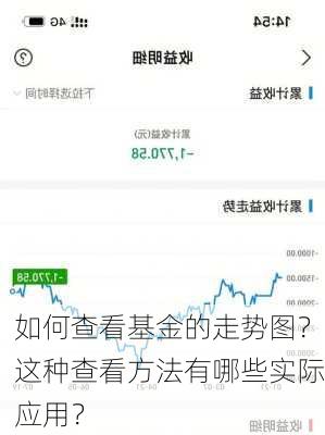 如何查看基金的走势图？这种查看方法有哪些实际应用？