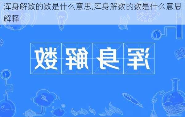 浑身解数的数是什么意思,浑身解数的数是什么意思解释