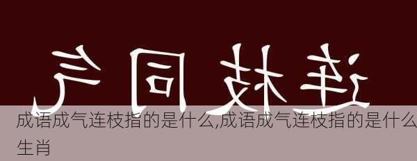 成语成气连枝指的是什么,成语成气连枝指的是什么生肖