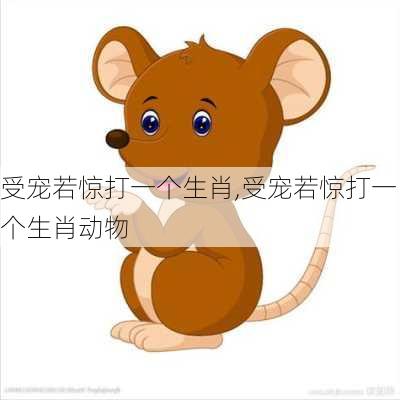 受宠若惊打一个生肖,受宠若惊打一个生肖动物