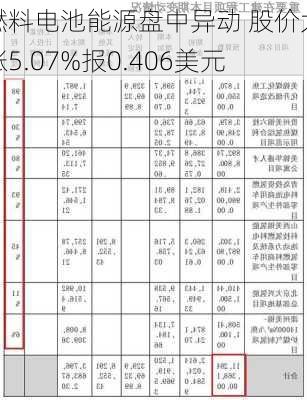 燃料电池能源盘中异动 股价大涨5.07%报0.406美元