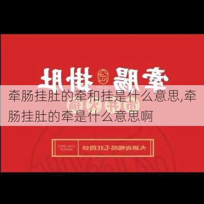 牵肠挂肚的牵和挂是什么意思,牵肠挂肚的牵是什么意思啊