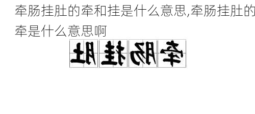 牵肠挂肚的牵和挂是什么意思,牵肠挂肚的牵是什么意思啊