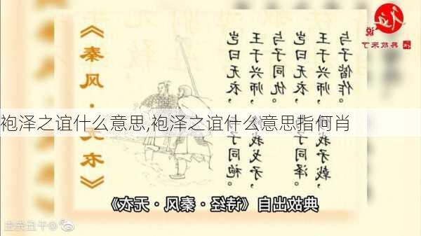 袍泽之谊什么意思,袍泽之谊什么意思指何肖