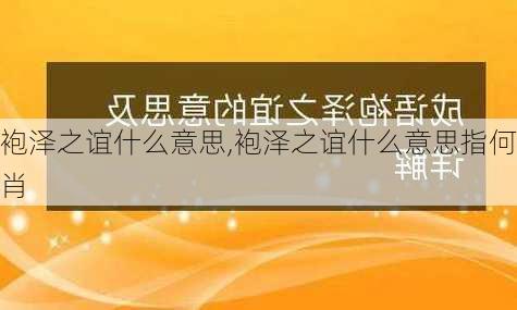 袍泽之谊什么意思,袍泽之谊什么意思指何肖