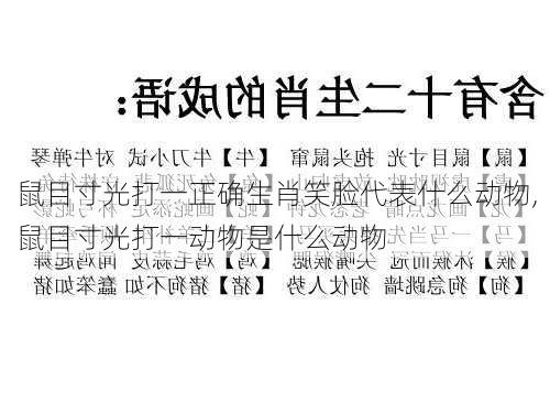 鼠目寸光打一正确生肖笑脸代表什么动物,鼠目寸光打一动物是什么动物