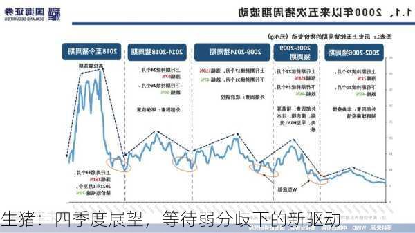 生猪：四季度展望，等待弱分歧下的新驱动