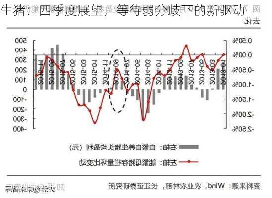 生猪：四季度展望，等待弱分歧下的新驱动