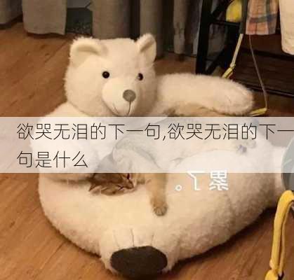 欲哭无泪的下一句,欲哭无泪的下一句是什么