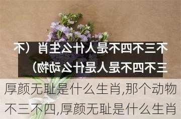 厚颜无耻是什么生肖,那个动物不三不四,厚颜无耻是什么生肖