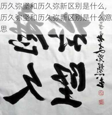 历久弥坚和历久弥新区别是什么,历久弥坚和历久弥新区别是什么意思