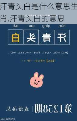 汗青头白是什么意思生肖,汗青头白的意思