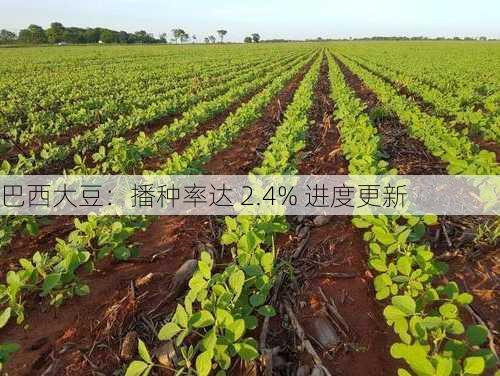 巴西大豆：播种率达 2.4% 进度更新