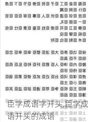 臣字成语字开头,臣字成语开头的成语