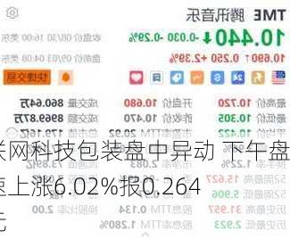 互联网科技包装盘中异动 下午盘急速上涨6.02%报0.264美元