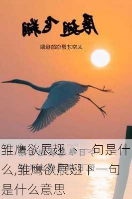 雏鹰欲展翅下一句是什么,雏鹰欲展翅下一句是什么意思