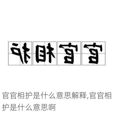 官官相护是什么意思解释,官官相护是什么意思啊