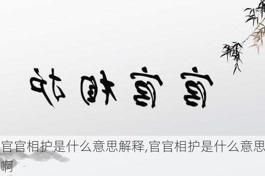 官官相护是什么意思解释,官官相护是什么意思啊