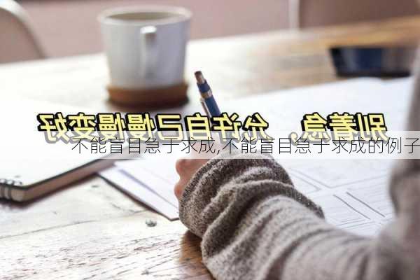 不能盲目急于求成,不能盲目急于求成的例子